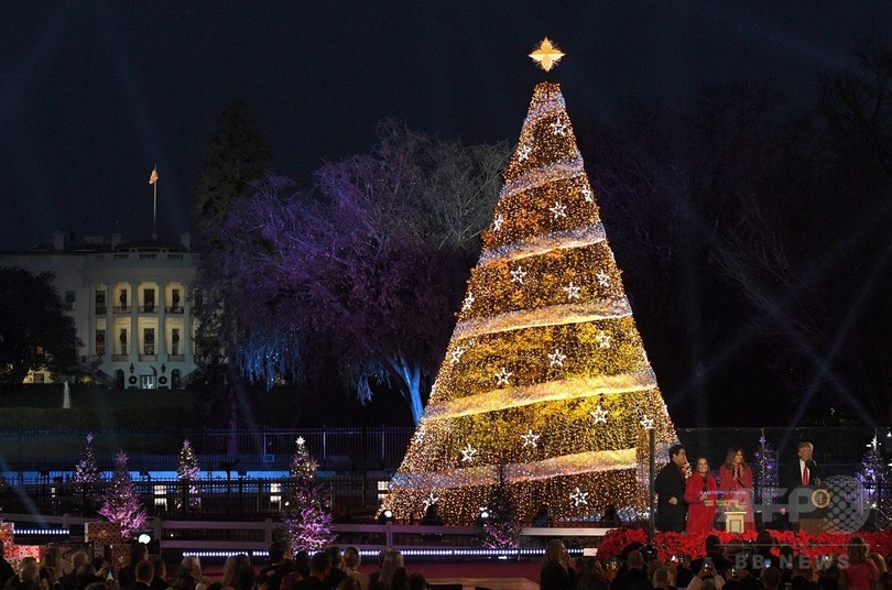 クリスマスツリーの装飾の意味とは？わかりやすく解説！！今年もまたこの季節がやってきましたね。